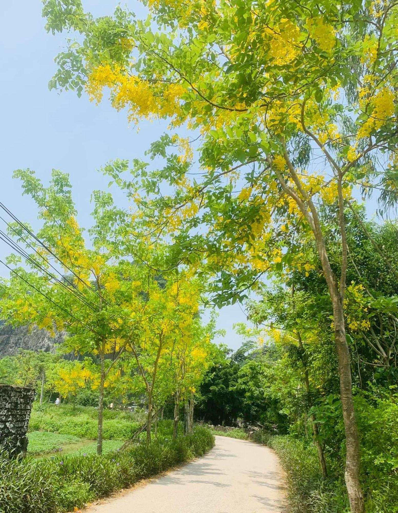 Tam Coc Min House Hotel Vu Lam Екстериор снимка